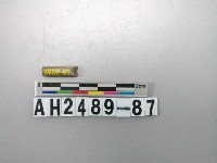 藏品(磨製石針)的圖片